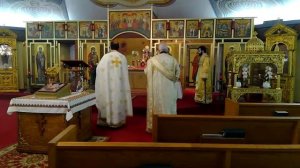 Divine Liturgy for the Sunday of the Samaritan Woman and a Moleben for Mothers