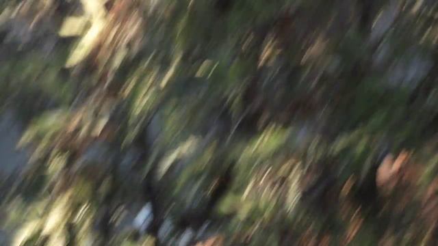 HD Video Test - Fujifilm Finepix S1600 смотреть онлайн