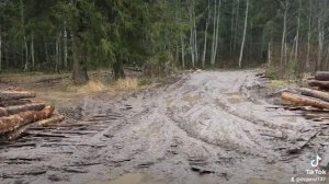 Идет вырубка леса в Ивановской обл