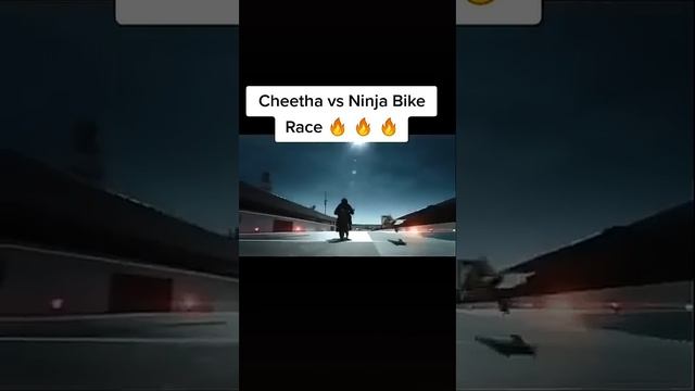 ❤cheetah VS ninja bike race✌✌✌, for bike fans❤❤❤........ with I am a rider song???