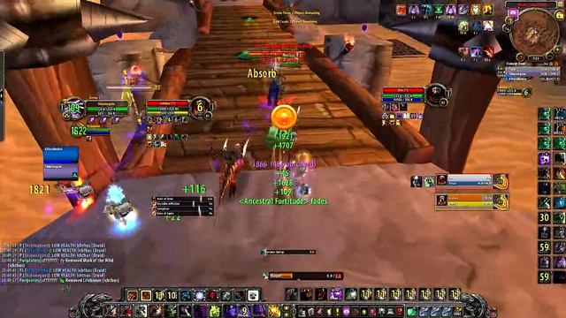 Warlock/Resto Shaman 2v2 Arena Disc/Feral