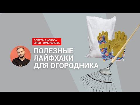 Полезные лайфхаки для огородника: борьба с паразитами и сорняками, удобрения, совместные посадки