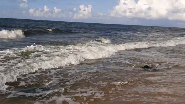Немного моря. Балтика. Лето 2019 г.
