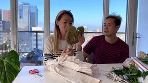 Philodendron El Choco Red & Anthurium Warocqueanum Unboxing! - Ecuagenera Unboxing