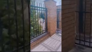 расстрелял детей в школе номер 175 города Казань