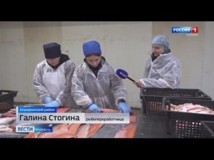 Вести Кубань. "Океан Камчатка Сахалин" в Новостях