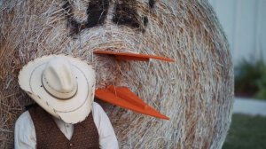 2017 Porter County Fair Cowboy - Texas Terry Sleeping