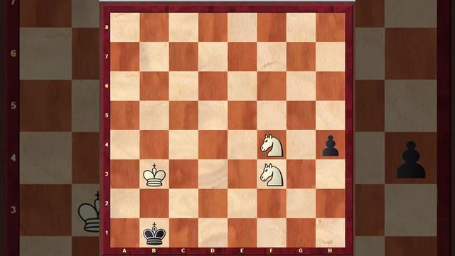 Два Коня против пешки. Часть третья. Практические примеры. смотреть онлайн