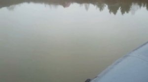 Sea-pro 9.8 и винт 3*9*9