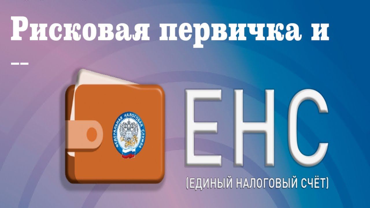 Единый налоговый счёт  и рисковая  первичка
