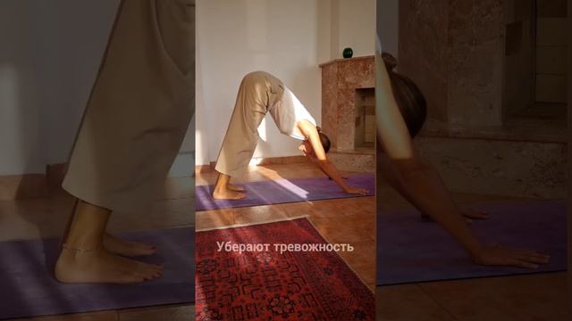 Мягкая Практрика Йоги❤️  #relaxing #yoga #yogaflow