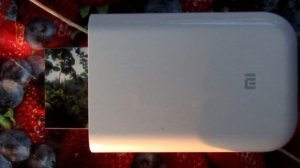 Фотопринтер Xiaomi Mi Portable Photo Printer - Seid