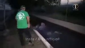 Мугамбо ва арусш