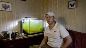 Неудачный запуск травника на питательном грунте