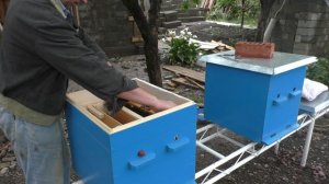 Отводок на свищевую матку