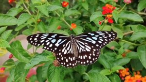 ВСЁ В ТВОИХ РУКАХ (христианская песня Валерий Малышев)