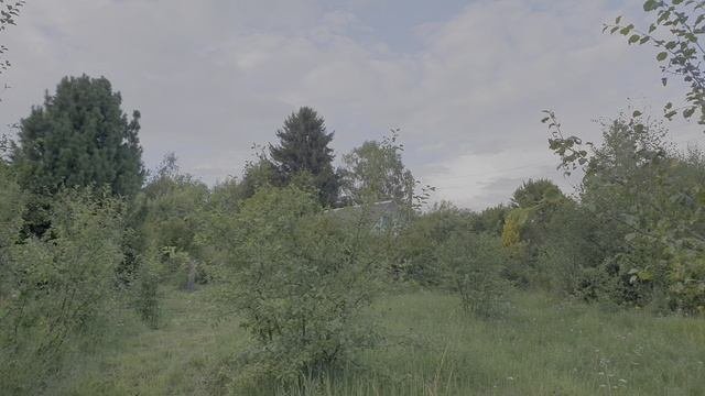 Остров.