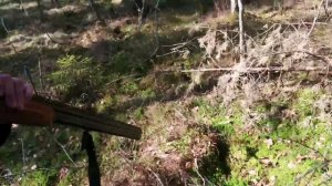 Тест патронов Дисперсант и Обычных контейнер 7.5 дробь