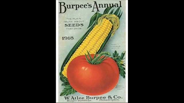 Flower Breeding 12 Burpee смотреть онлайн