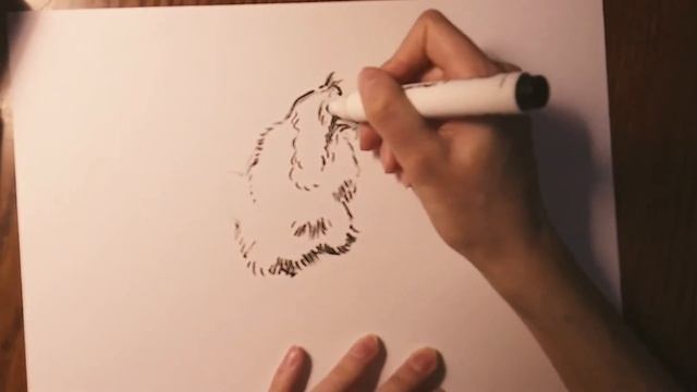 Анималистика. Рисуем домашних любимцев