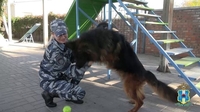 Кинологическая служба
