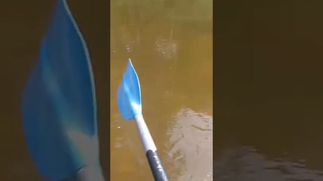 Заплыв на байдарке смотреть онлайн