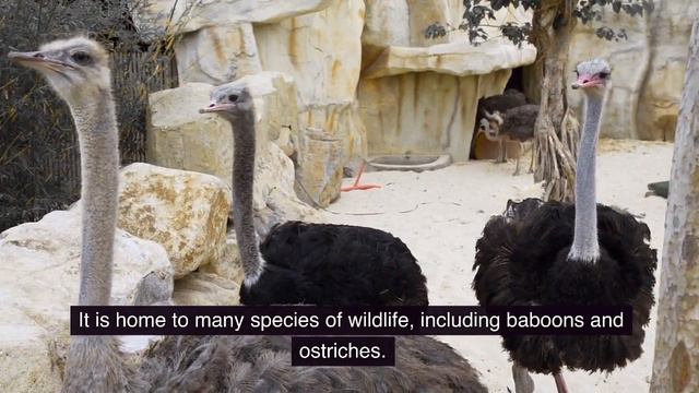 TOP 10 PLACES TO VISIT IN CAPE TOWN, SOUTH AFRICA, IN 2023!!! смотреть онлайн