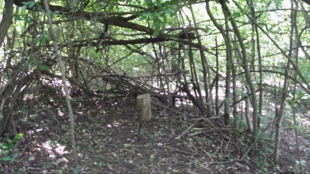 ЛЕСНАЯ БАЗА . смотреть онлайн