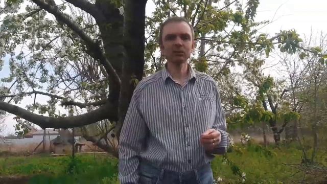 Андрей Дочкин. Общественный деятель,поэт,певец(Воронежская область).Сообщество "Танцуй,Чтобы Жить!"
