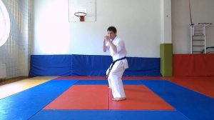 Тренируемся дома 7, Ура маваши гери, Шуто маваши уке.