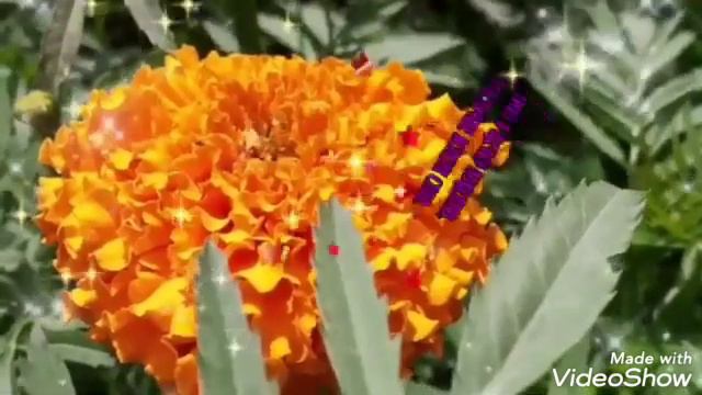 Көзгеләрдә көз җиткән смотреть онлайн