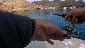 Рыбалка в Балаклаве. И кот сыт и рыбак доволен.