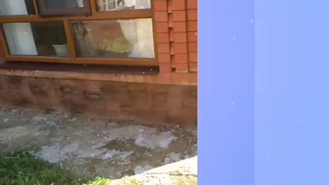 Графито-штукатурка смотреть онлайн