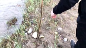 Эта Ночная рыба удивляет рыбалка ночью на закидушки с берега