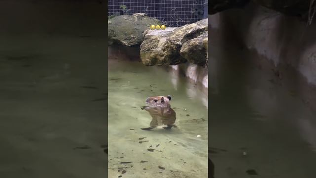 1000002063.mp4 смотреть онлайн