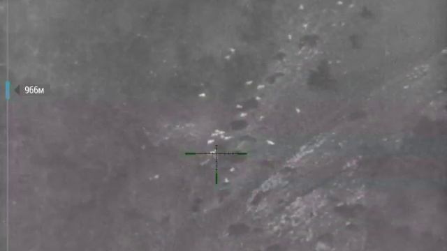 Iwt mutant . Крупные туры рогачи на 950м смотреть онлайн