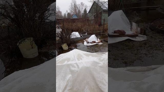 Смех и слезы!!!.. смотреть онлайн