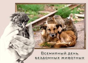 День бездомных животных.