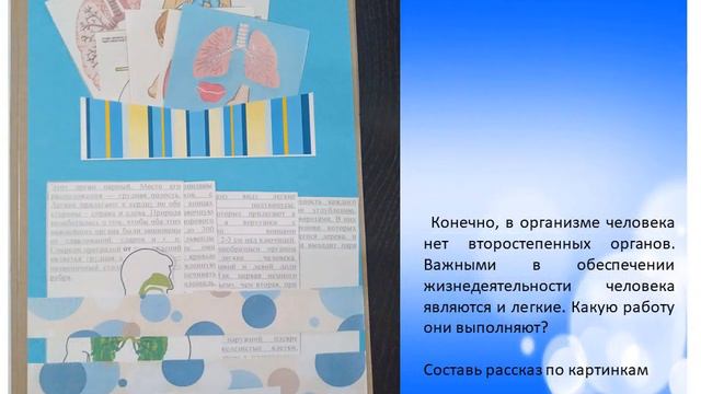 лэпбук легкие человека