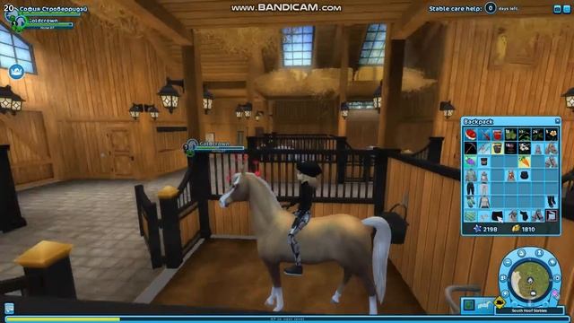 Star Stable Online\\покупка лошади марвари