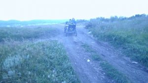 автомобиль из бензопилы