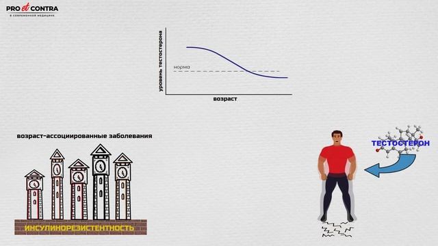 Тестостерон 6. Тестостерон и сахарный диабет