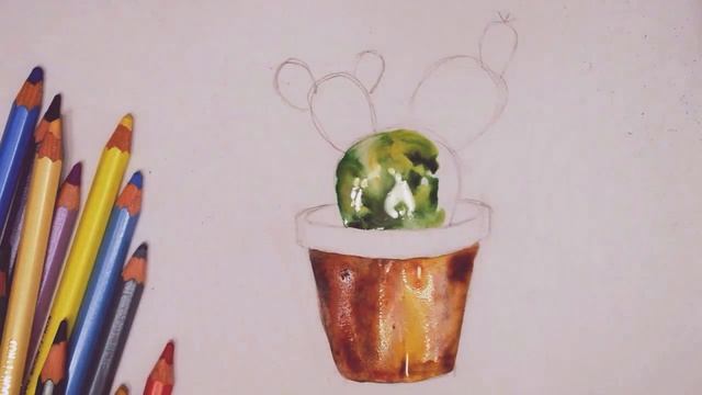 Кактус акварелью// рисуем растения// how to draw plants, cactus смотреть онлайн