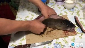 Как почистить большого окуня
