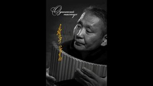 Одинокий пастух Панфлейта хөгжимчин Б.Пүрэвээ