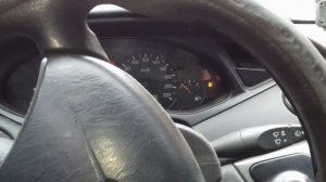 Кормящая свиноматка упала на задние лапы. Нехватка кальция в организме свиноматки.