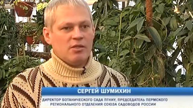 Посев земляники. Зеленый участок. Январь смотреть онлайн