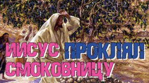 Иисус проклял смоковницу! За что Христос проклял смоковницу? | Раввин Михаил Финкель