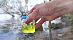 ЭТОТ АРОМАТ ЗАСТАВИТ КЛЮНУТЬ ДАЖЕ СЫТУЮ РЫБУ! какая рыба любит запах клубники?