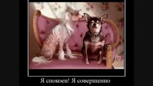 Недовольным своими женами и мужьями  Протоиерей Андрей Ткачёв
